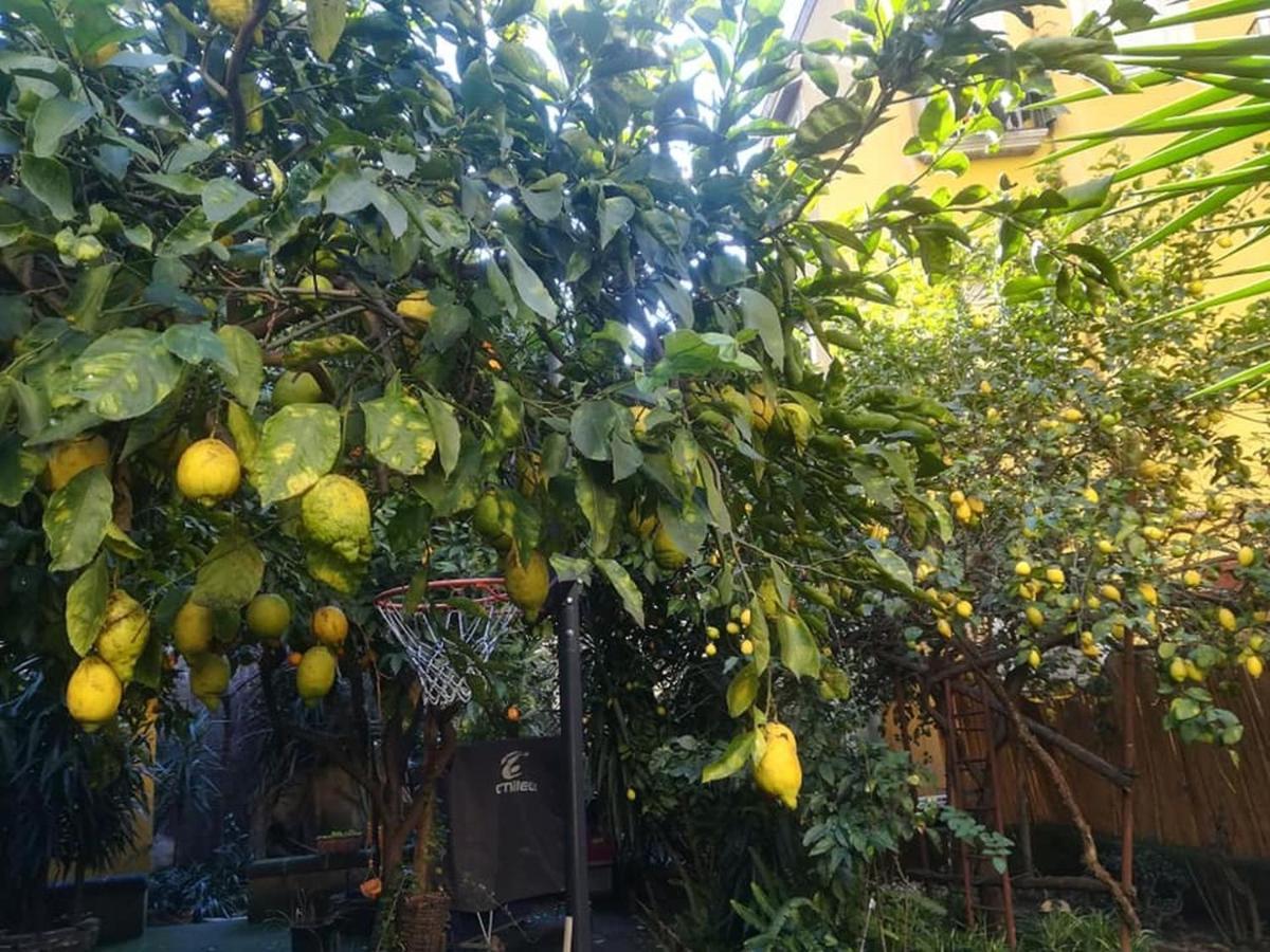 La Limonaia Di Chiaia Apartment Napoli Exterior foto