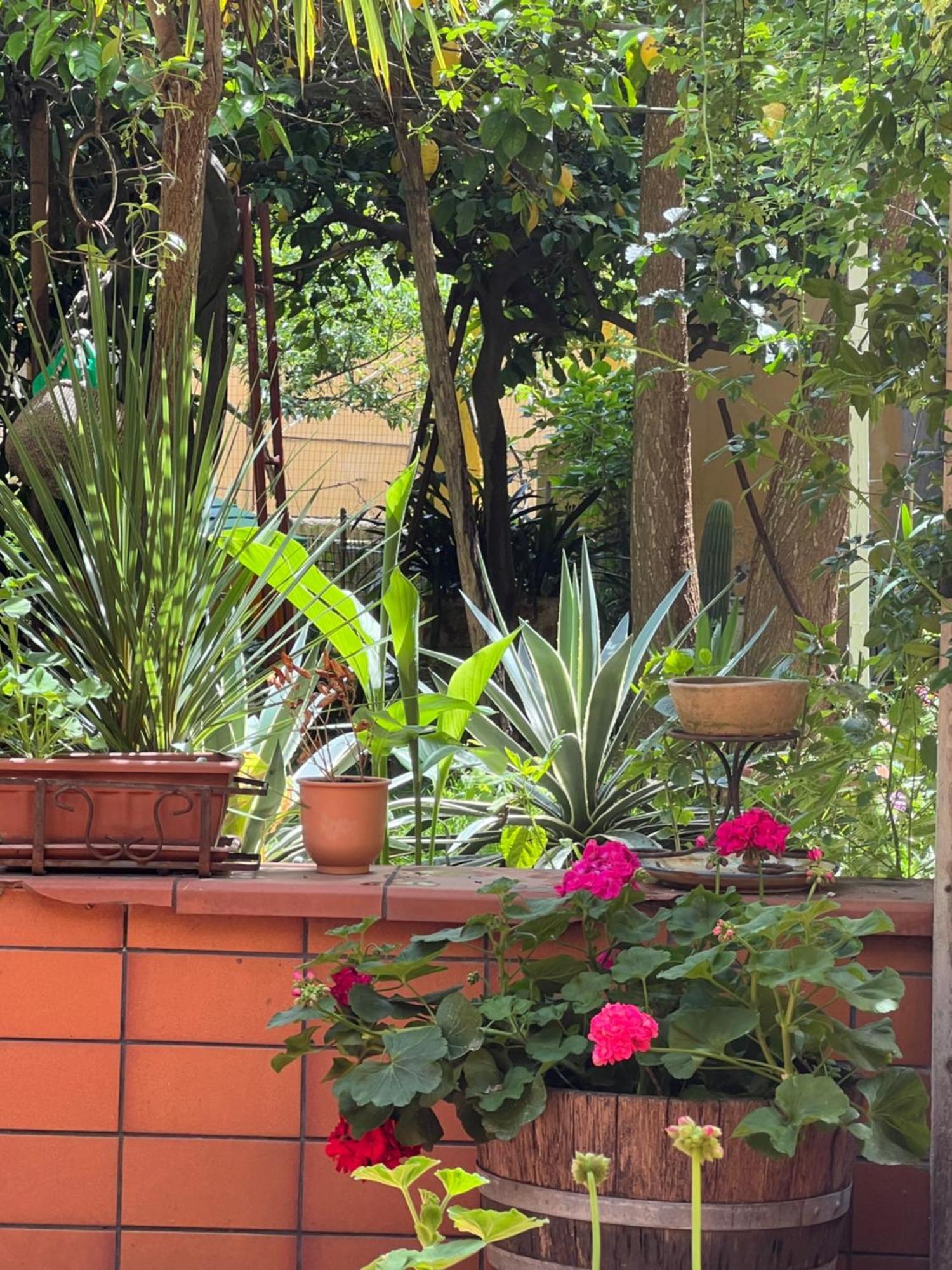 La Limonaia Di Chiaia Apartment Napoli Exterior foto